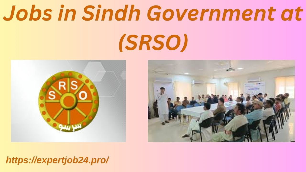 Jobs in Sindh Government at (SRSO)