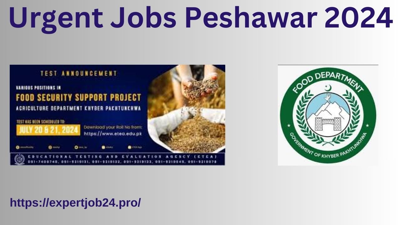 Urgent Jobs Peshawar 2024